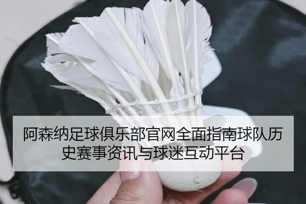 a-sen-na-zu-qiu-ju-le-bu-guan-wang-quan-mian-zhi-nan-qiu-dui-li-shi-sai-shi-zi-xun-yu-qiu-mi-hu-dong-ping-tai-2-134.jpg