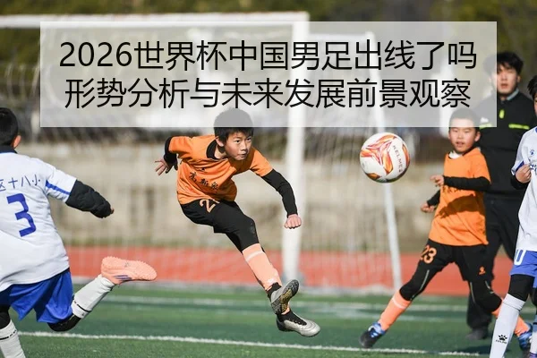 2026世界杯中国男足出线了吗形势分析与未来发展前景观察